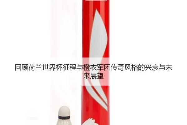 hui-gu-he-lan-shi-jie-bei-zheng-cheng-yu-cheng-yi-jun-tuan-chuan-qi-feng-ge-de-xing-shuai-yu-wei-lai-zhan-wang-2-448.jpg