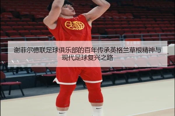 谢菲尔德联足球俱乐部的百年传承英格兰草根精神与现代足球复兴之路