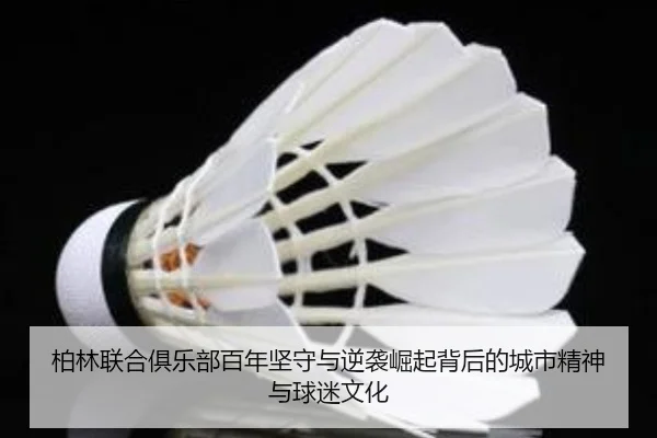 柏林联合俱乐部百年坚守与逆袭崛起背后的城市精神与球迷文化