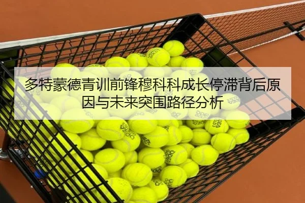 多特蒙德青训前锋穆科科成长停滞背后原因与未来突围路径分析
